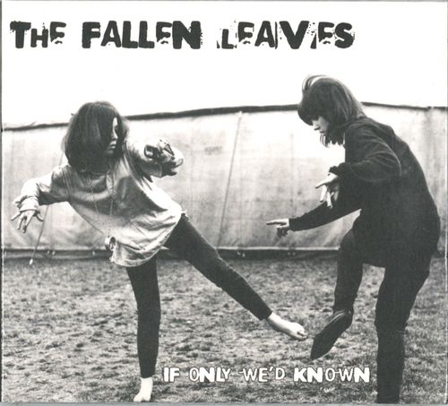 FALLEN LEAVES, THE - If Only We'd Known CD (NEW) (M)